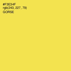 #F3E34F - Gorse Color Image