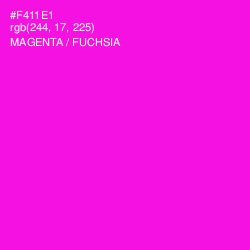 #F411E1 - Magenta / Fuchsia Color Image