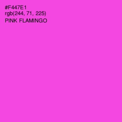 #F447E1 - Pink Flamingo Color Image