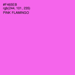 #F465EB - Pink Flamingo Color Image