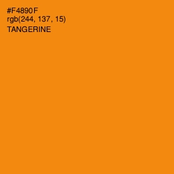 #F4890F - Tangerine Color Image
