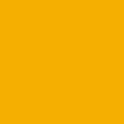 #F4AF00 - Yellow Sea Color Image