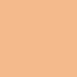 #F4BA8C - Gold Sand Color Image