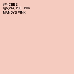 #F4CBBE - Mandys Pink Color Image