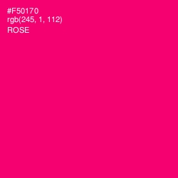 #F50170 - Rose Color Image