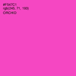 #F547C1 - Orchid Color Image