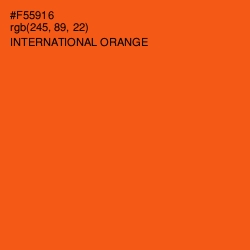 #F55916 - International Orange Color Image