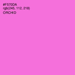 #F570DA - Orchid Color Image