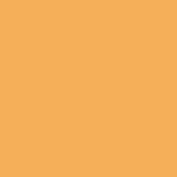 #F5AF59 - Casablanca Color Image