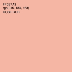 #F5B7A3 - Rose Bud Color Image