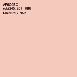#F5C9BC - Mandys Pink Color Image
