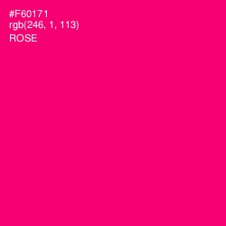 #F60171 - Rose Color Image