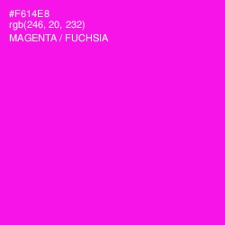 #F614E8 - Magenta / Fuchsia Color Image