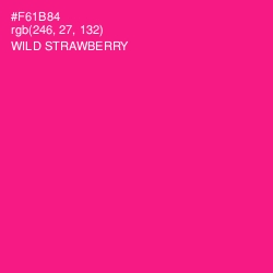 #F61B84 - Wild Strawberry Color Image