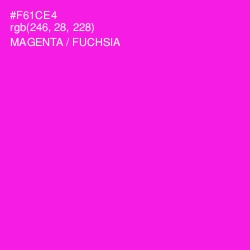 #F61CE4 - Magenta / Fuchsia Color Image