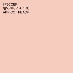 #F6CCBF - Apricot Peach Color Image