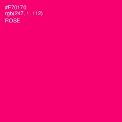 #F70170 - Rose Color Image