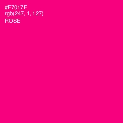 #F7017F - Rose Color Image