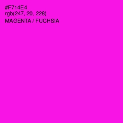 #F714E4 - Magenta / Fuchsia Color Image