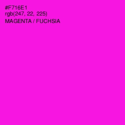 #F716E1 - Magenta / Fuchsia Color Image