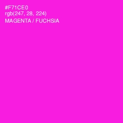 #F71CE0 - Magenta / Fuchsia Color Image