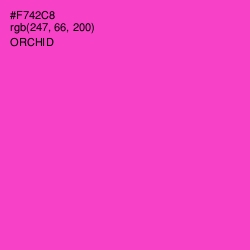 #F742C8 - Orchid Color Image