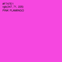 #F747E1 - Pink Flamingo Color Image