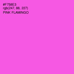 #F758E3 - Pink Flamingo Color Image