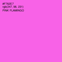 #F762E7 - Pink Flamingo Color Image