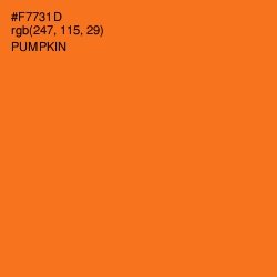 #F7731D - Pumpkin Color Image