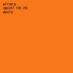 #F77819 - Ecstasy Color Image