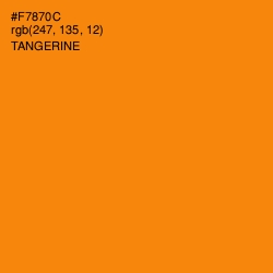 #F7870C - Tangerine Color Image