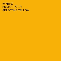 #F7B107 - Selective Yellow Color Image