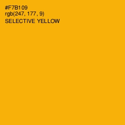 #F7B109 - Selective Yellow Color Image