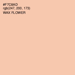 #F7C8AD - Wax Flower Color Image