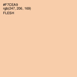 #F7CEA9 - Flesh Color Image
