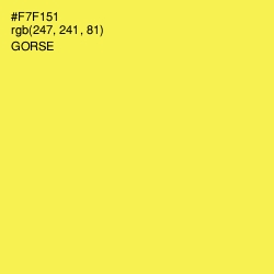 #F7F151 - Gorse Color Image