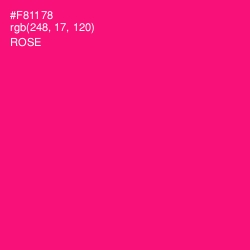 #F81178 - Rose Color Image