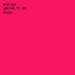 #F81562 - Rose Color Image