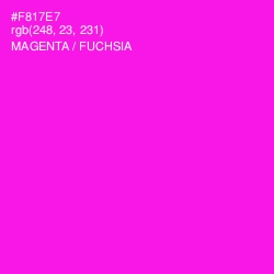 #F817E7 - Magenta / Fuchsia Color Image