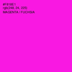 #F818E1 - Magenta / Fuchsia Color Image