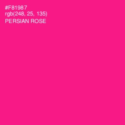 #F81987 - Persian Rose Color Image