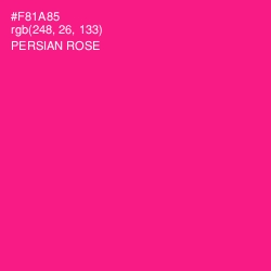 #F81A85 - Persian Rose Color Image