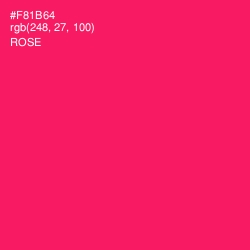 #F81B64 - Rose Color Image
