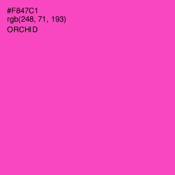 #F847C1 - Orchid Color Image