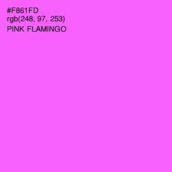 #F861FD - Pink Flamingo Color Image