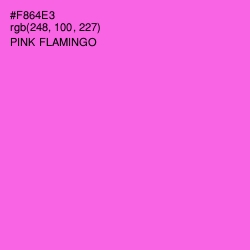 #F864E3 - Pink Flamingo Color Image