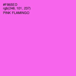 #F865ED - Pink Flamingo Color Image