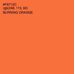 #F8713C - Burning Orange Color Image