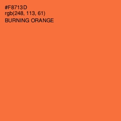 #F8713D - Burning Orange Color Image